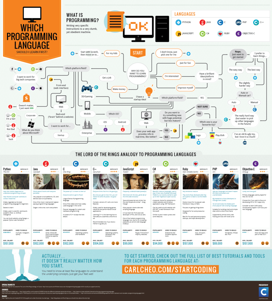 which-programming-language-should-i-learn-first-infographic-micha-gellert